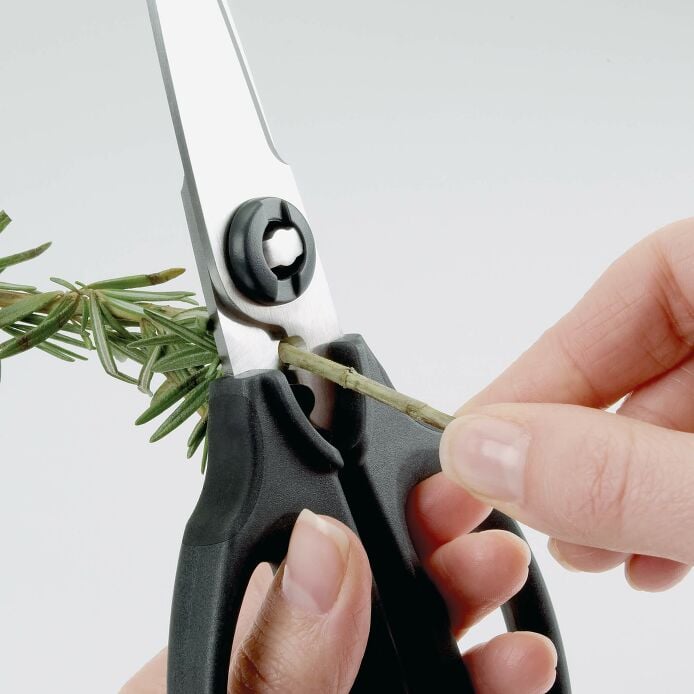Kitchen And Herb Scissors V8