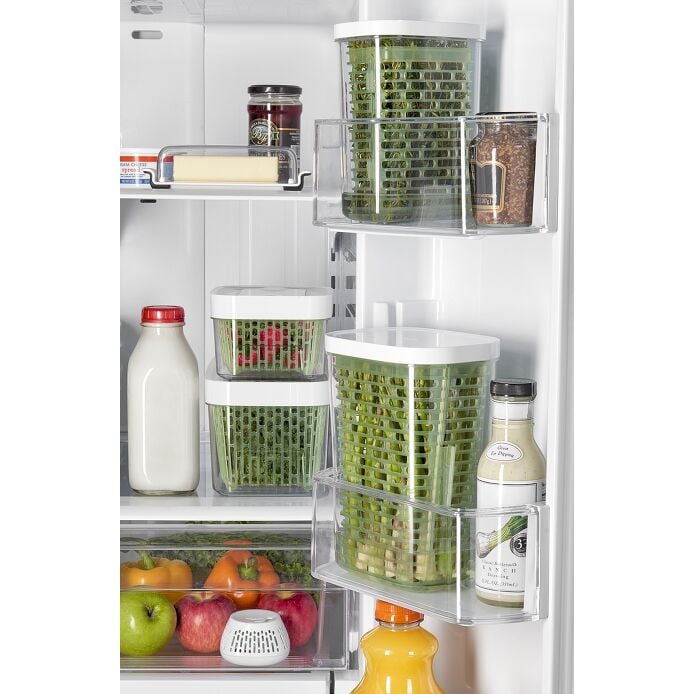 GreenSaver Standing Crisper Insert - 1 Pc R4