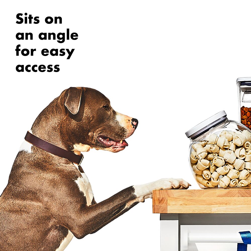 OXO Good Grips Pet POP Container – 3.0 Qt/2.8 L K1