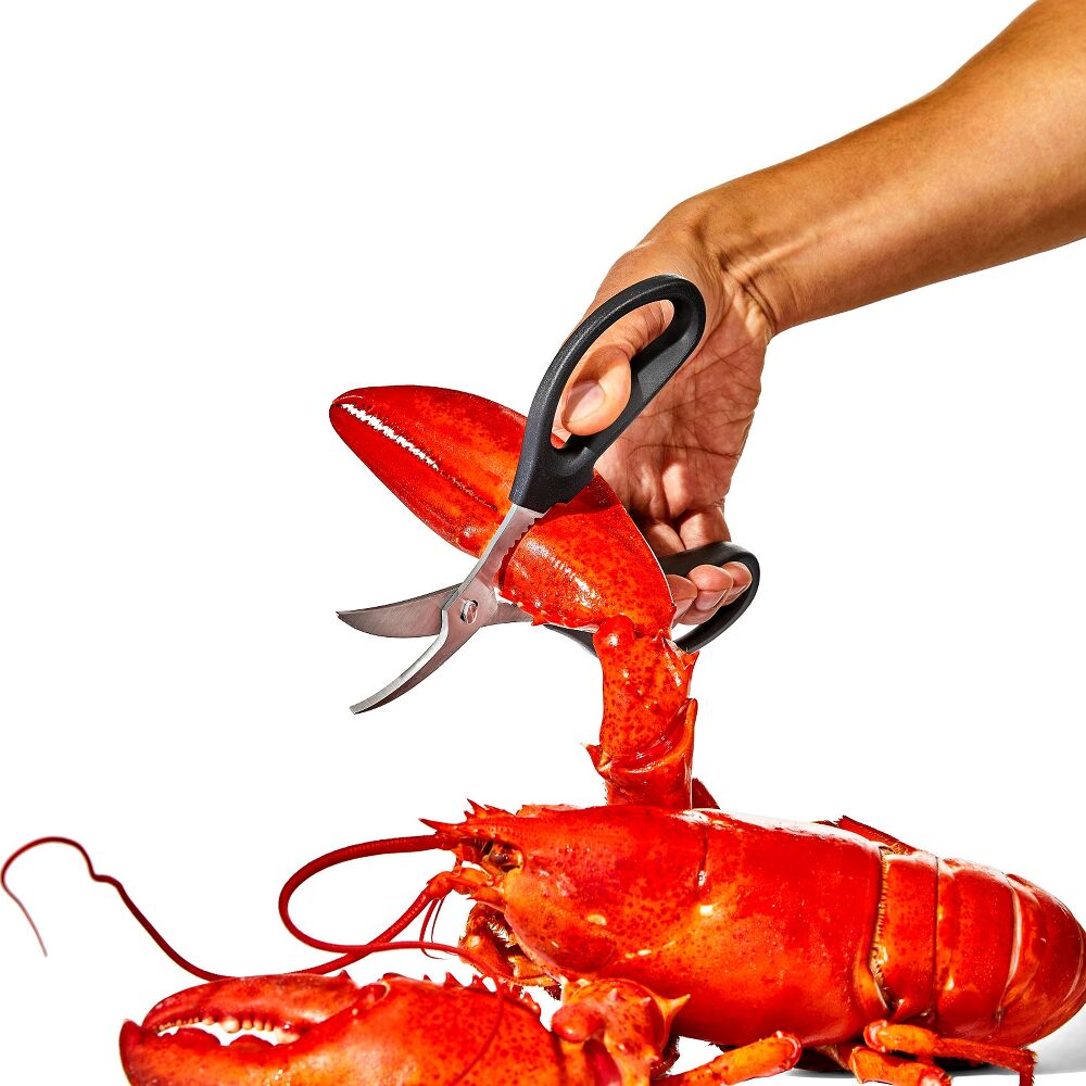 Seafood Scissors L9