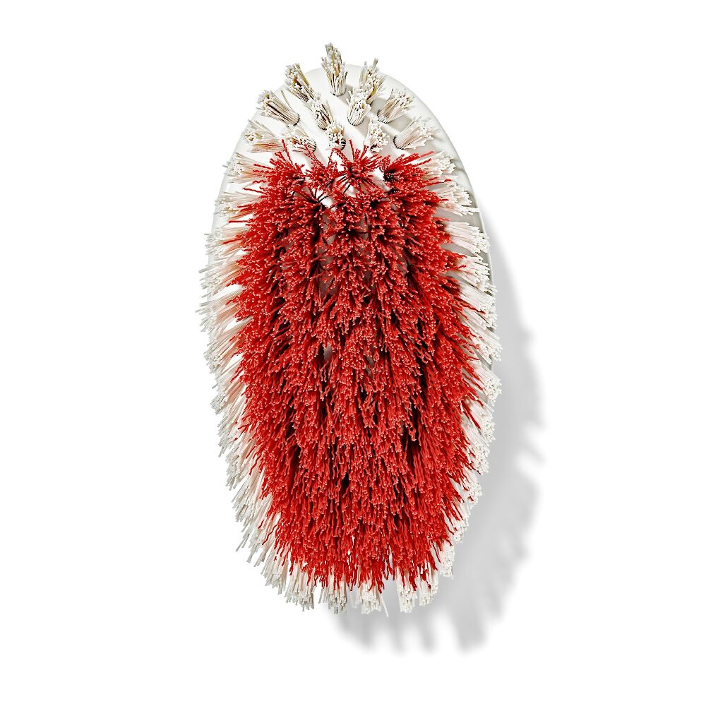 All-Purpose Scrub Brush 2-Pack Y1