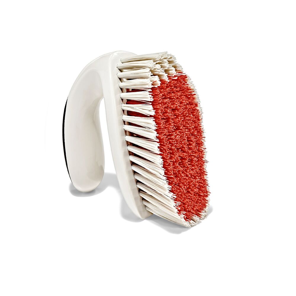All-Purpose Scrub Brush 2-Pack Y1