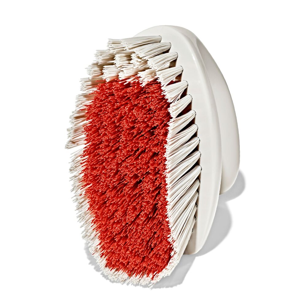 All-Purpose Scrub Brush 2-Pack Y1