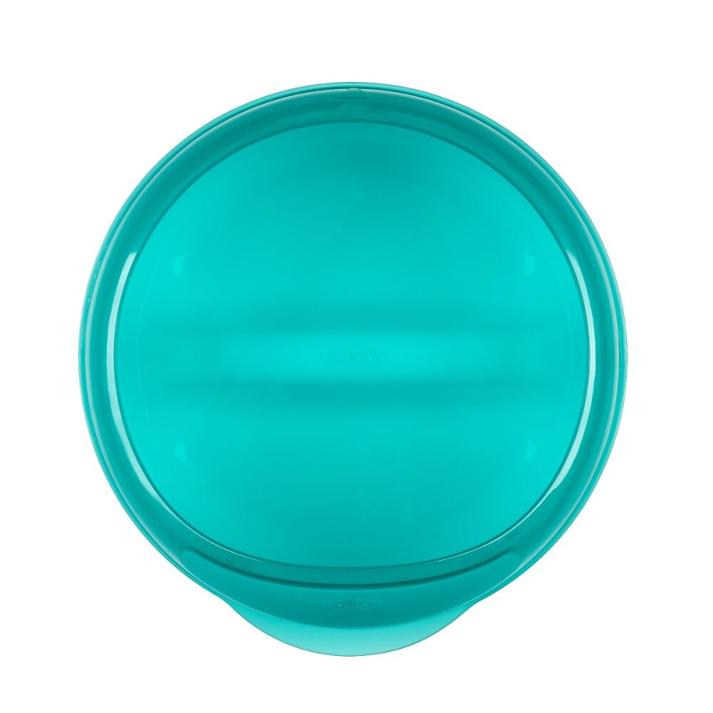Divided Feeding Dish with Removable Ring G8