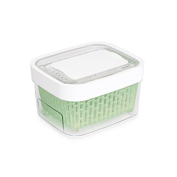 GreenSaver Produce Keeper (1.6 Qt) H0