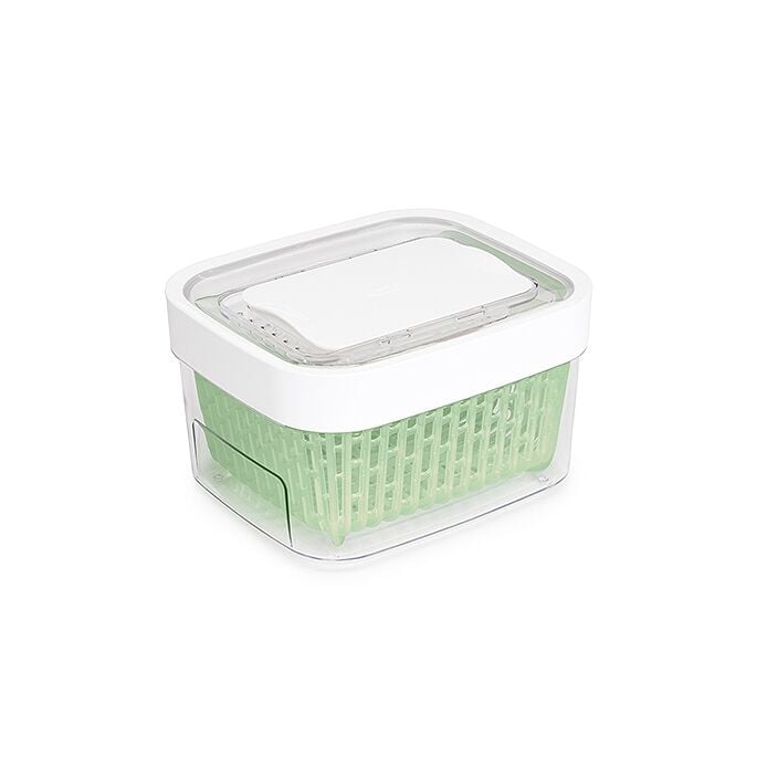 GreenSaver Produce Keeper (1.6 Qt) H0