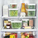 GreenSaver Produce Keeper (4.3 Qt) Y6
