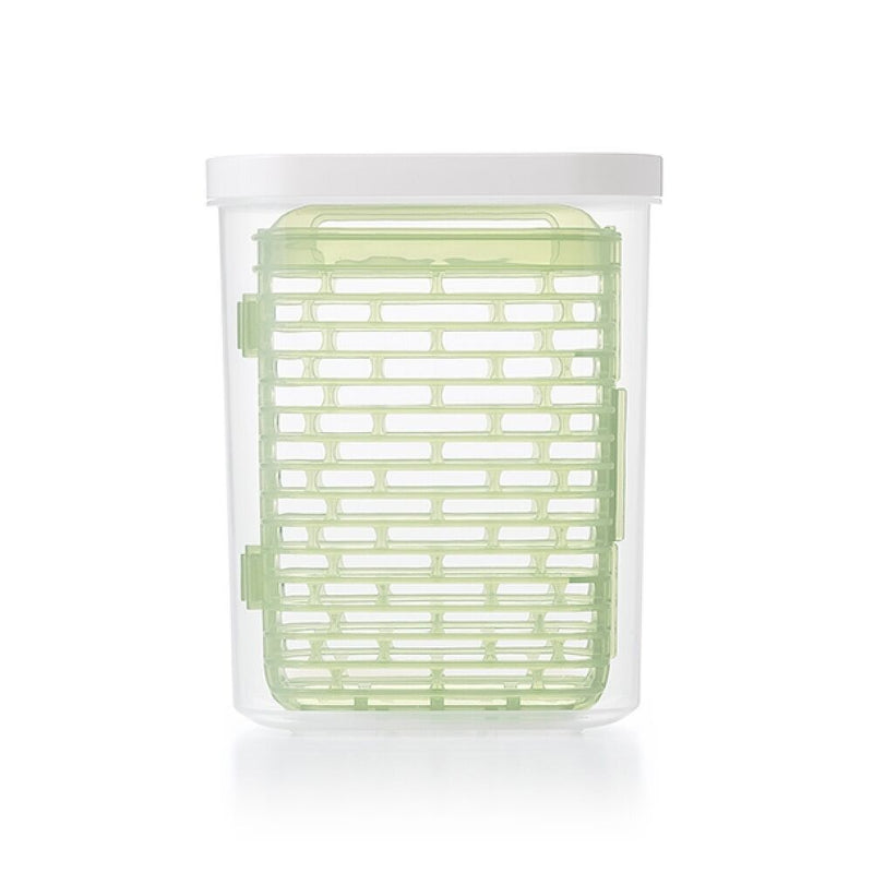 GreenSaver Herb Keeper - Small D6