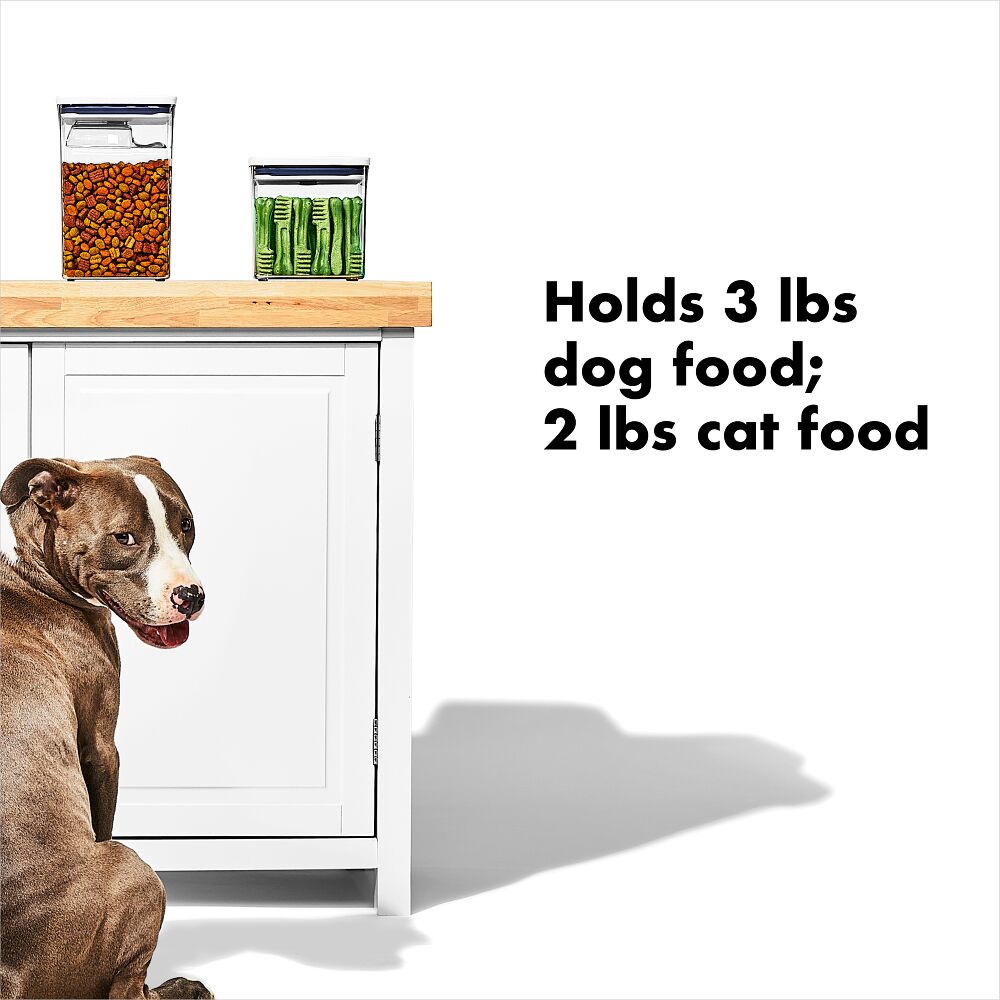 OXO Good Grips Pet POP Container – 2.8 Qt/2.6 L B7