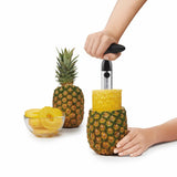 Stainless Steel Pineapple Slicer Z2