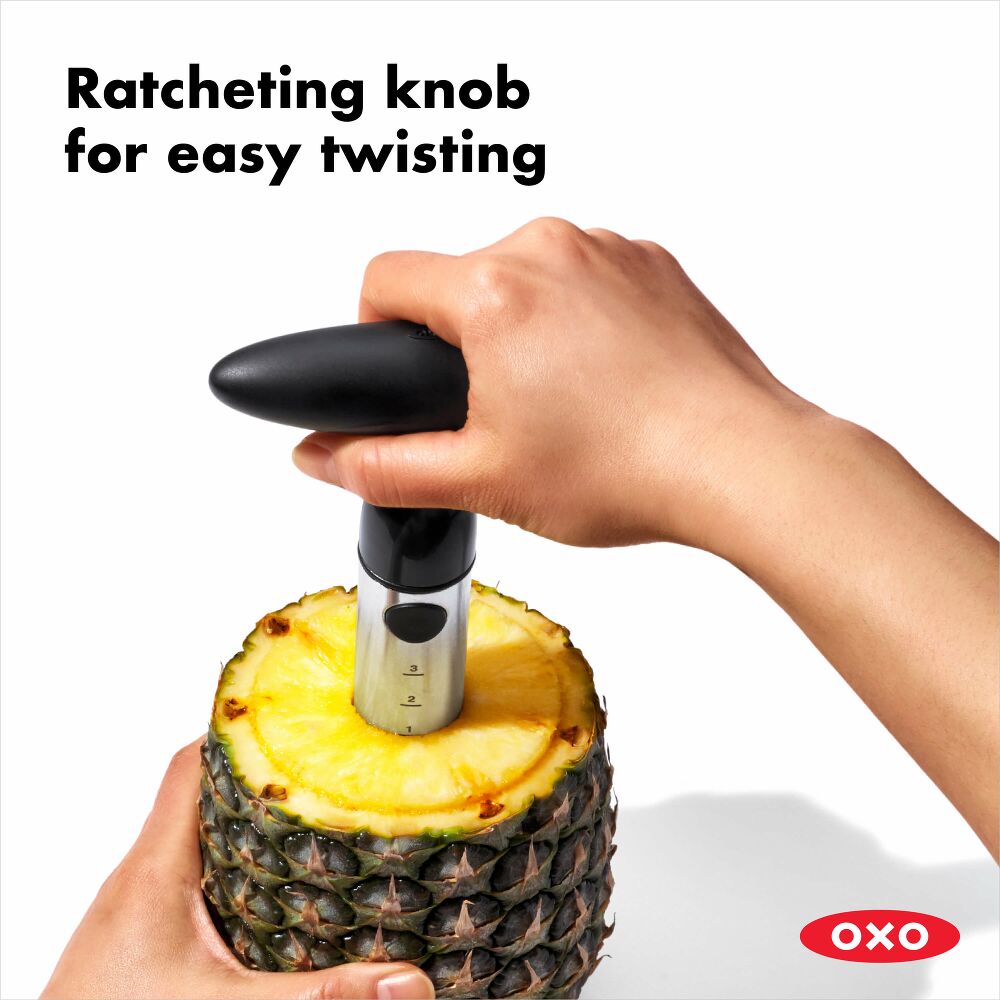 Stainless Steel Pineapple Slicer Z2