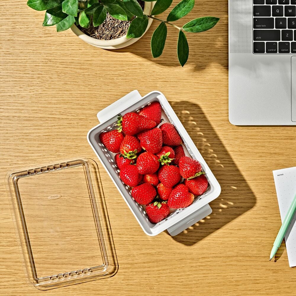 Produce Saver - Berry Keeper 2-Piece Set C6