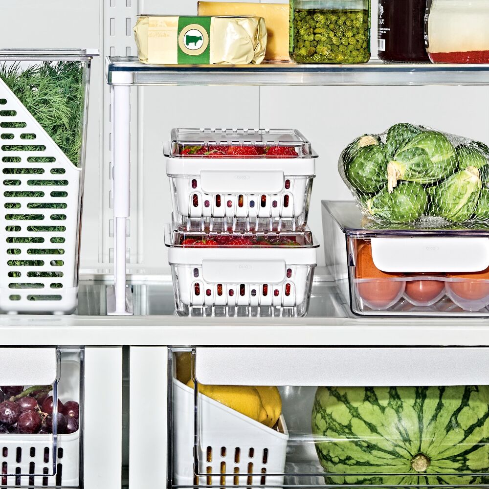 Produce Saver - Berry Keeper 2-Piece Set C6