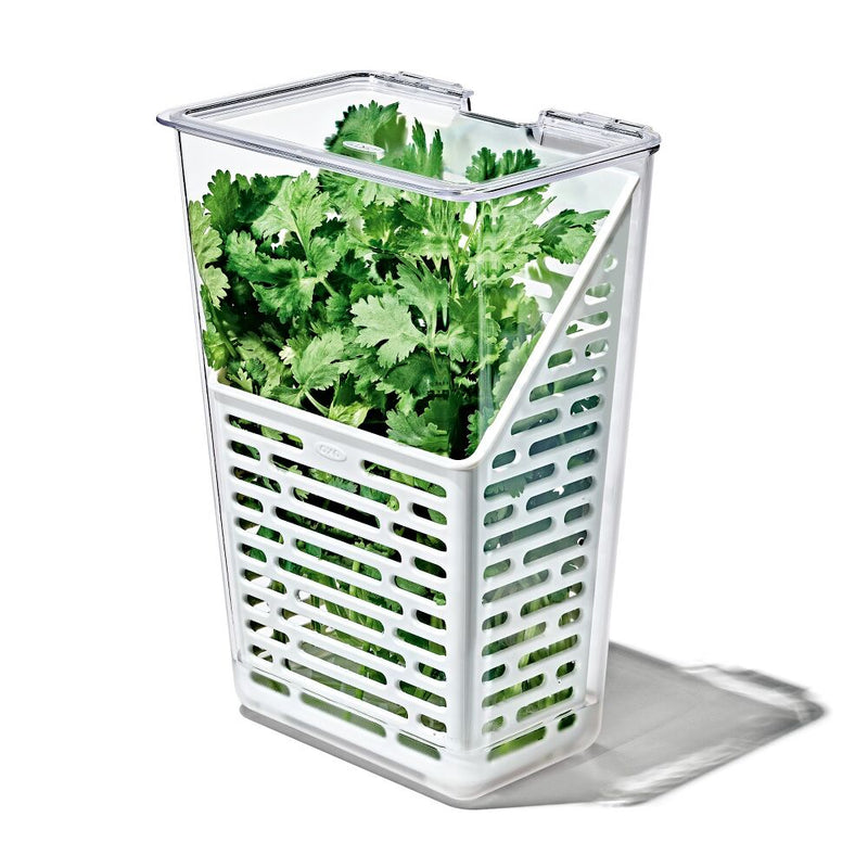 Produce Saver - Herb Keeper T6