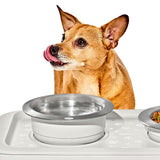 OXO Pet Nonslip Bowl - Medium, 2 Cups / 480 mL C1