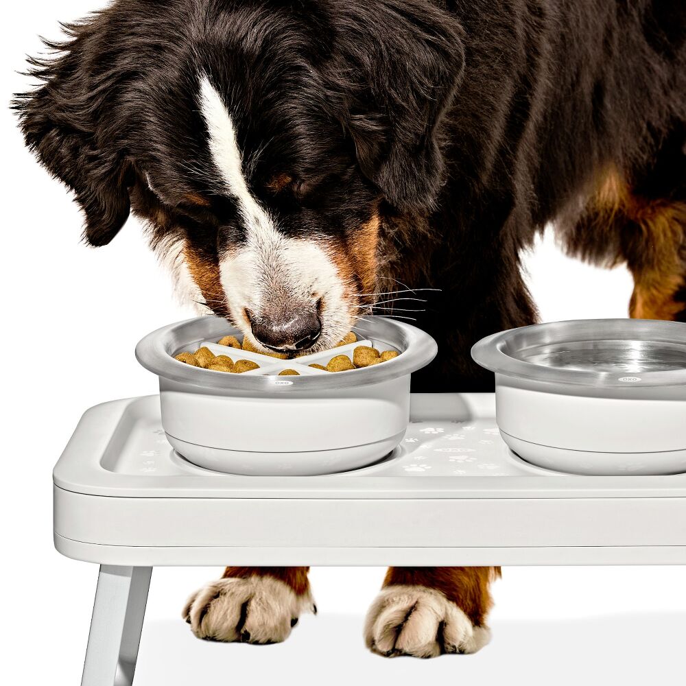 OXO Pet Easy-Clean Slow Feeder - Large, 4 Cups/950 ml L3
